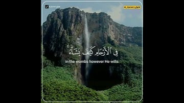 #Al_Quran 🍂[إِنَّ اللَّهَ لَا يَخْفَى عَلَيْهِ شَيْءٌ]🍁  🔴قارئ عبدالرحمن مسعد🔵