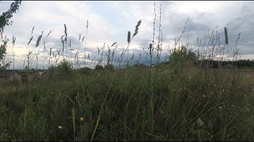 YI 4K+ (plus) with Zhiyun Rider-M. Test footage