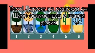 картинка: Тест! Дарахт ва решахои он Шумо орзумандед е шахси дакик