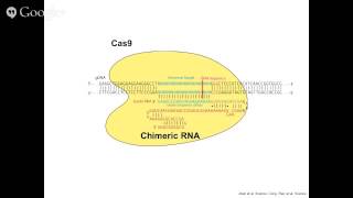 CRISPR Cas Technology and its Applications
