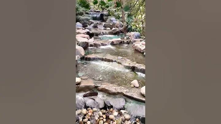 Nature Lover ❤#youtubeshorts #nature #naturelovers #video #viral #trending