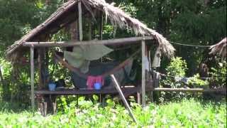 Delta Orinoco Warao Indians