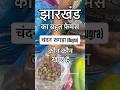 Jharkhand ka Desi Rugra #jharkhand #ytshorts #ranchi #youtubeshorts #shortvideo #fyp #rugda #shorts