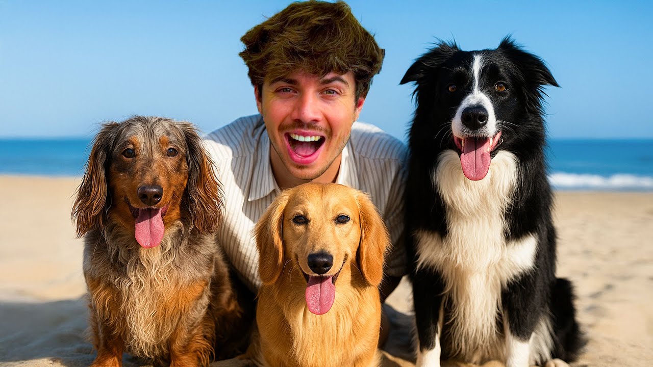 Hondjes Naar Het Strand ☀️