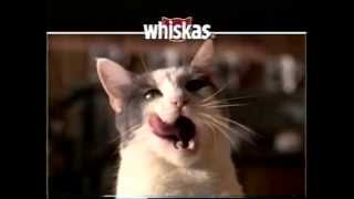 1998 Whiskas Cat Food Commercial