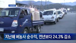 지난해 벼농사 순수익, 전년보다 24.3% 감소
