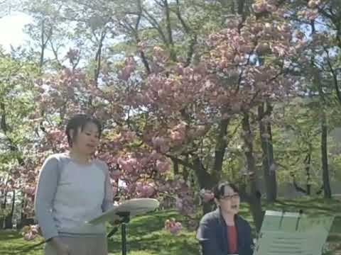 Justin Bieber  one time cover  dolche  桜の下