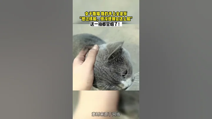 女子撸猫 撸的手上全是灰想过很脏，但没想到会这么脏#猫咪 #谁能拒绝傻憨憨的小猫咪 #动物的迷惑行为 #这操作都看傻了 - 天天要闻