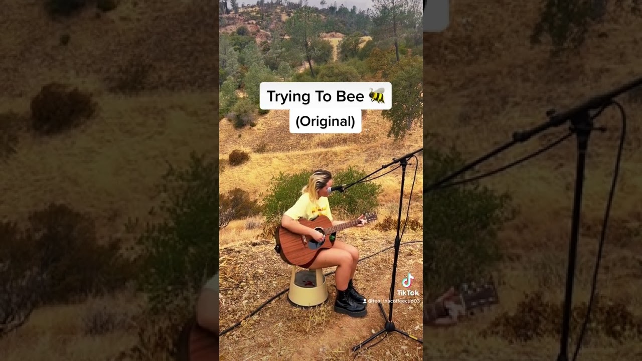 Trying To Bee (Original)