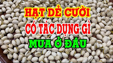 Hạt dẻ cười - Hạt dẻ cười có tác dụng gì - Hạt dẻ cười giá bao nhiêu