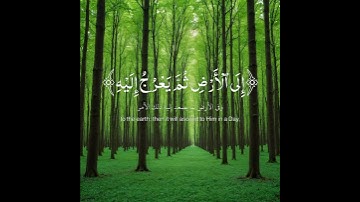 قرآن كريم #اكسبلور #قرآن #دويتو #اللهم_صل_على_محمد_وال_محمد #حالات_واتس #لايك #تيك_توك #duet #قرآن