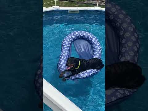 Living the best life - YouTube