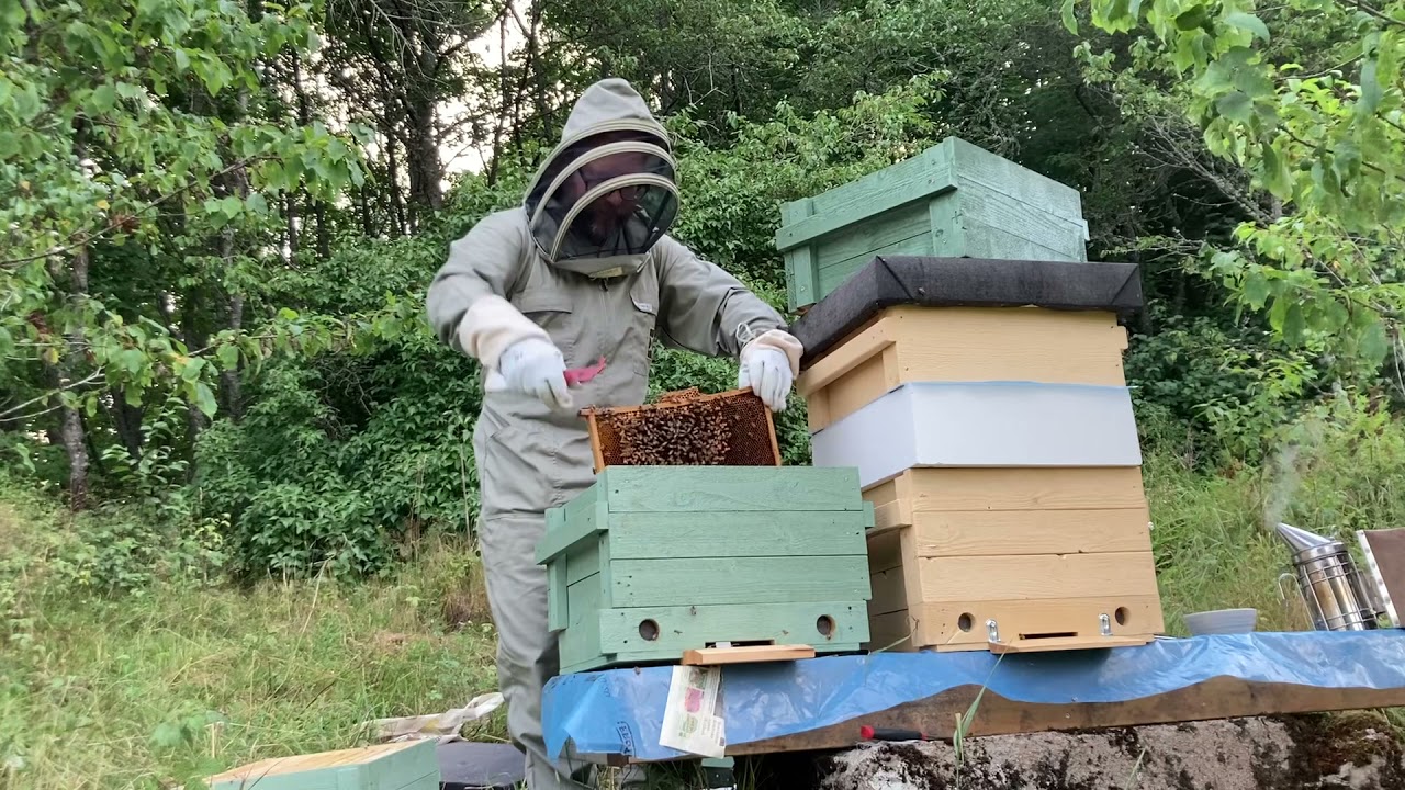 Fortsatt röveri på Blombacken ett utsatt bisamhälle flyttas 18 juli