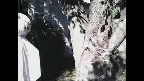 Cheerson CX-10-C Worlds smallest flying Camera drone commercially available