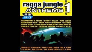 Admiral Bailey & Mad Cobra - Jungle Punanny