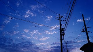 僕らは/初音ミク・ナースロボ_タイプT