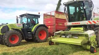 3rd cut silage 2k17