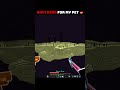 Anything For My Pet 💝|| #minecraft #shorts