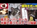 【猫と一緒に見る】半額で買った超お得な『新杵堂のスイーツ福袋』☆楽天スーパーセール半額で購入☆リキちゃんの興味のあるものは・・？☆福袋開封・中身紹介・和菓子・洋菓子・詰め合わせ