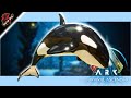 How to Tame ORCA || Ark Survival Ascended
