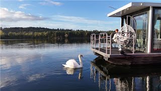 Plongez Dans Lunivers De Lescale Royale