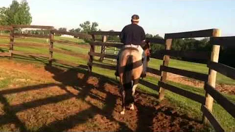 Roany's third ride
