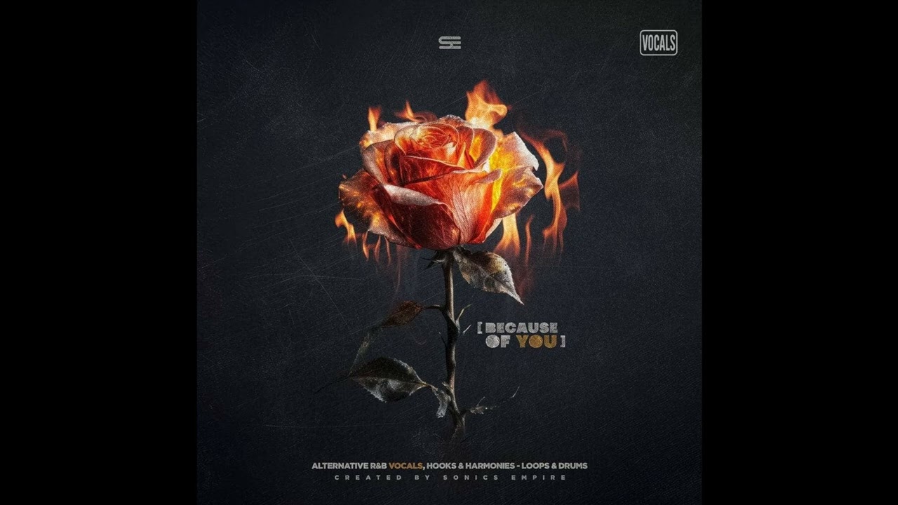 Because of You: Alt R&b Vocals (Demo)