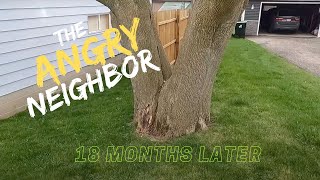 Angry neighbor Tree Comes Down! - And Kevin Wrecks His Car!