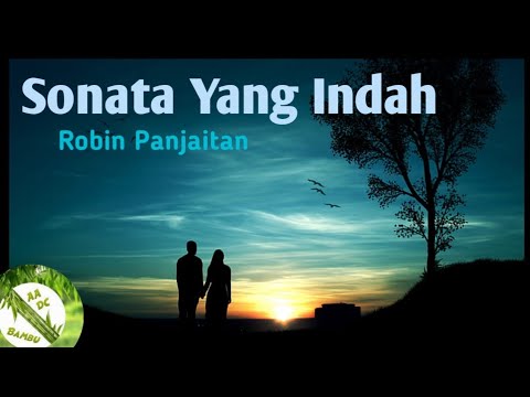 Lagu Kenangan Sonata Yang Indah (Robin Panjaitan)- ♡Ku Ingin duduk disisimu || AADC Bambu