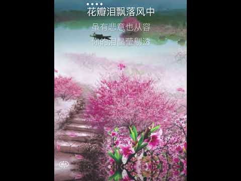 花心 周华健 卡拉OK伴奏 karaoke