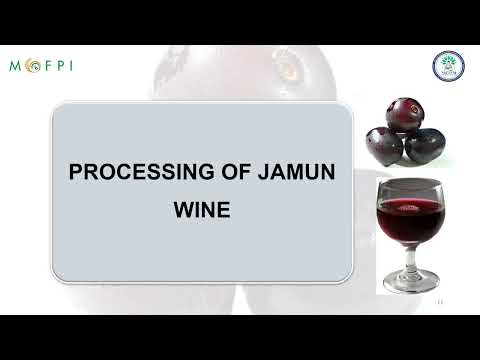 Processing video of Jamun Wine - YouTube