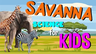 What is a Savanna | Science for Kids