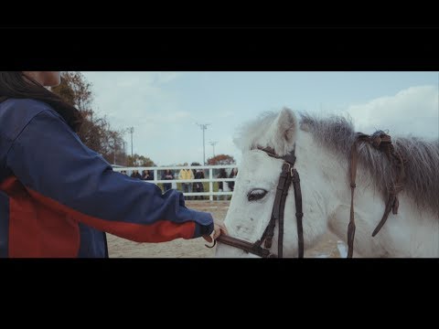 県農祭2017!![4K]
