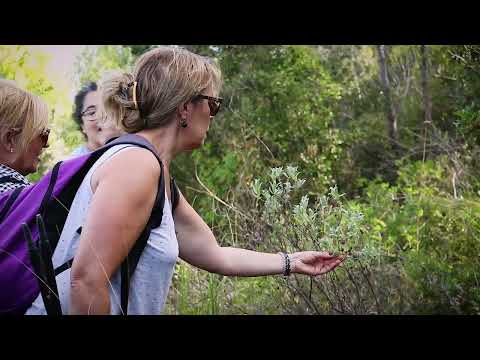 Vídeo: Reserva Natural de Tigireksky: àrees naturals protegides del territori d'Altai