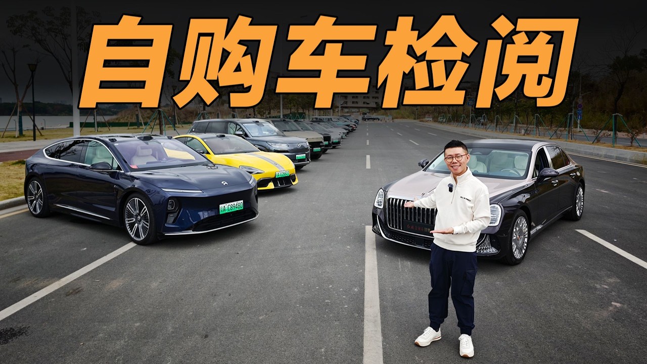年度自购车大点评：17部车优缺点都在这【大家车言论】