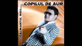 Video thumbnail of "Sorin Copilul de Aur - Nu mai strange omule banii la saltea (Audio oficial)"