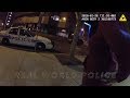 Real World Police: DWI & Five Counts of Felony Child Abuse (Preview)