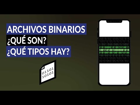 Archivos binarios ¿Qué son y Qué Tipos de Documentos Informáticos Codificados hay?