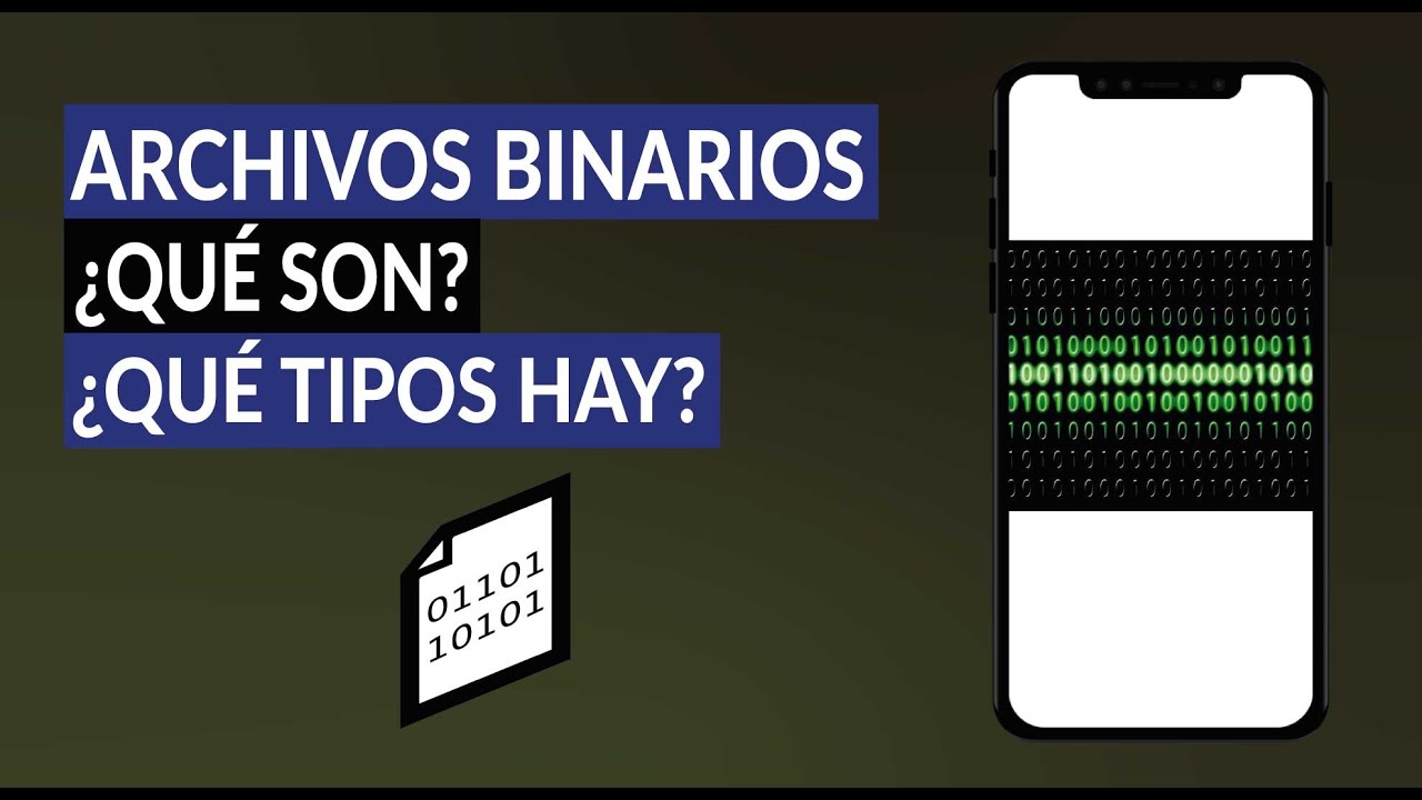 Archivos binarios ¿Qué son y Qué Tipos de Documentos Informáticos Codificados hay?