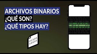 Binary Files: What Are They and What Types of Encoded Computer Documents Are There
