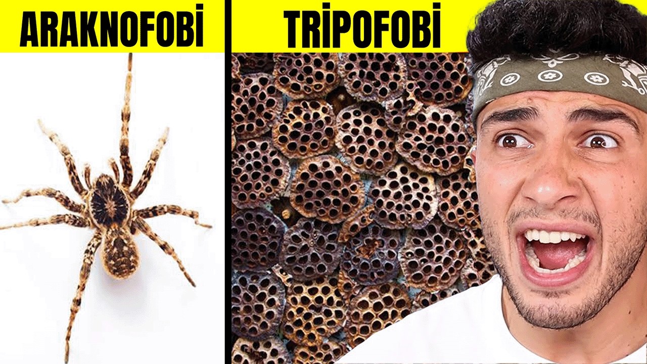 FOBİLERİNİZİ ORTAYA ÇIKARACAK TİKTOK VİDEOLARI *30 DAKİKA*