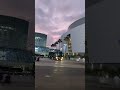 Beautiful afternoon in Los Angeles Vlog