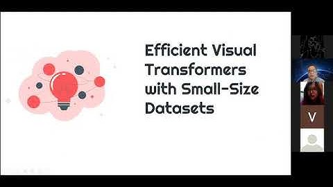 Efficient Visual Transformers with Small-Size Datasets