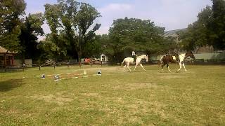 后里馬場 2017 0926 06 白龍王 37 戰神