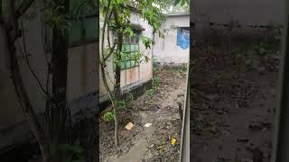 #hindisong #viral #nature