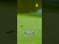 One of the BEST recovery shots of all time! 🤩