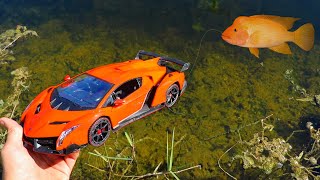 Lamborghini Catches Huge Colorful Fish For Pond Monster!!