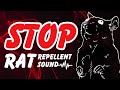 【10分間】ネズミが嫌がる音、ネズミ撃退、モスキート音|Mouse & Rat Repellent Sound