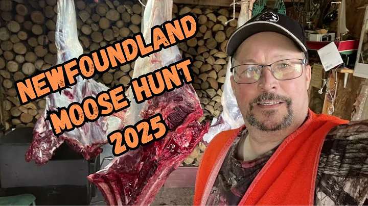 2025 Newfoundland Moose Hunt with my Dad-Great Memories of a Successful Hunt