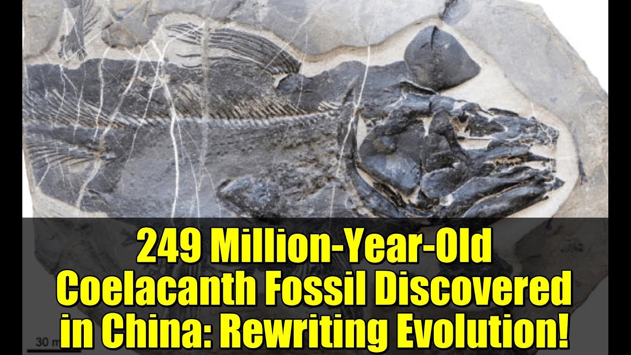 249 Million-Year-Old Coelacanth Fossil Discovered in China: Rewriting Evolution!